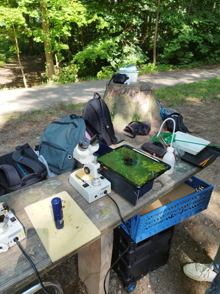 2025-07-24 - Gewaesseruntersuchung-04