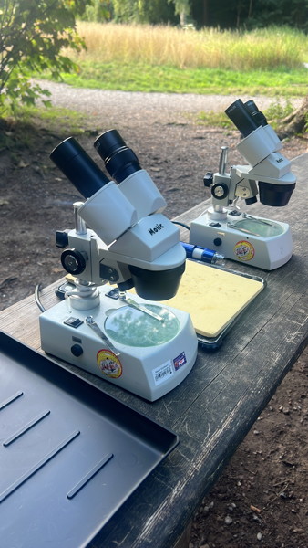 2025-07-24 - Gewaesseruntersuchung-05